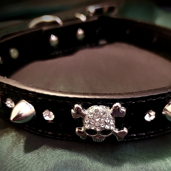 Skull dog collar - New With tags ❤️ - Picture 5 of 6